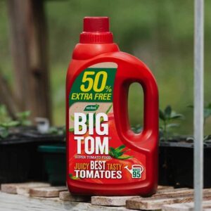 BIG TOM Tomato feed 50% extra free 1.9L total