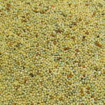 UK Sourced Budgie Seed 20kg made in West Sussex