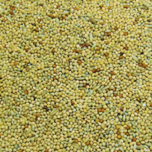 UK Sourced Budgie Seed 20kg made in West Sussex