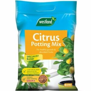 Westland Citrus Potting Compost Mix and Enriched with Seramis - 8L