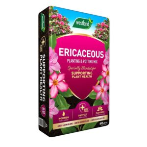 Westland Ericaceous Compost 50L azaleas and camellia - Buy 2 get Free Gloves