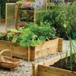 Westland Wooden Raised Garden Bed - 30cm x 100cm x 100cm