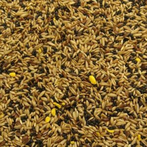 canary 20kg super mix seed feed linseed, yellow biscuit, black rapeseed, groats