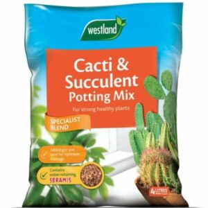 Westland Cacti & Succulent compost Potting Mix 4 Litres